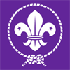 wosm-100